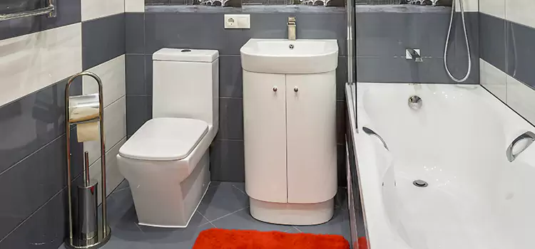 Hansgrohe Shaving Mirror Spokane